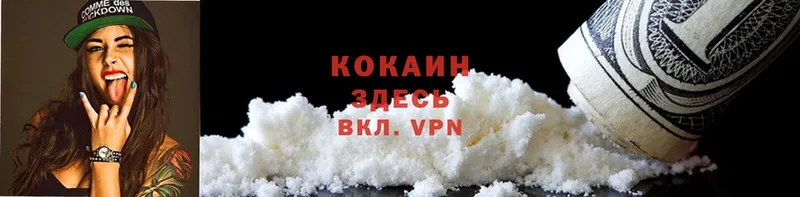 Cocaine Эквадор  закладка  Камышлов 